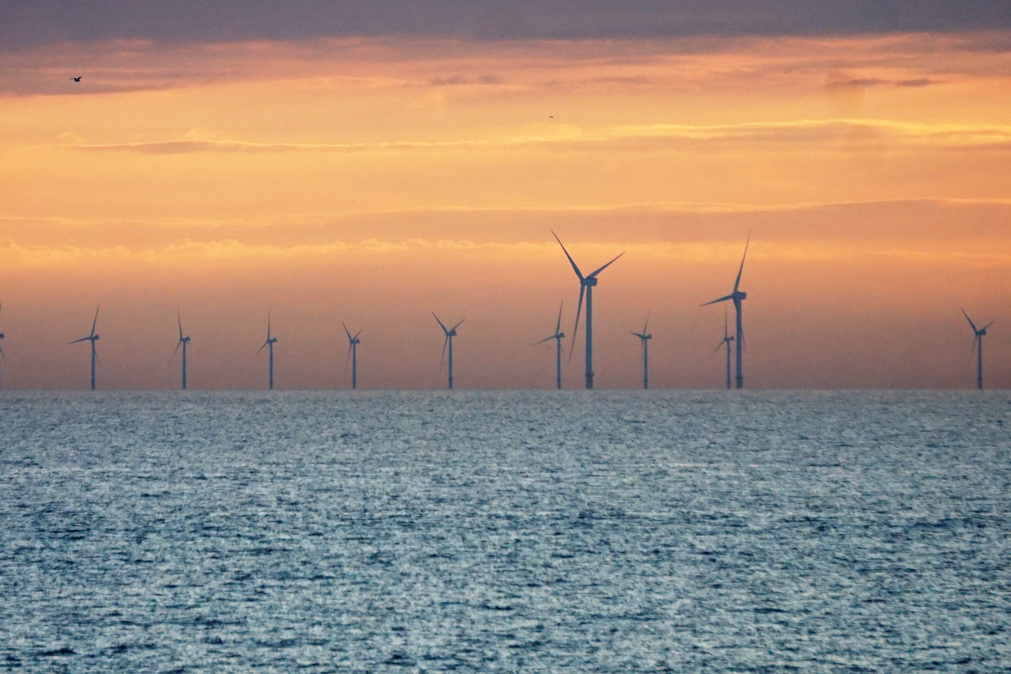 Windmolenpark op de Noordzee. Foto: Jan van de Laar
