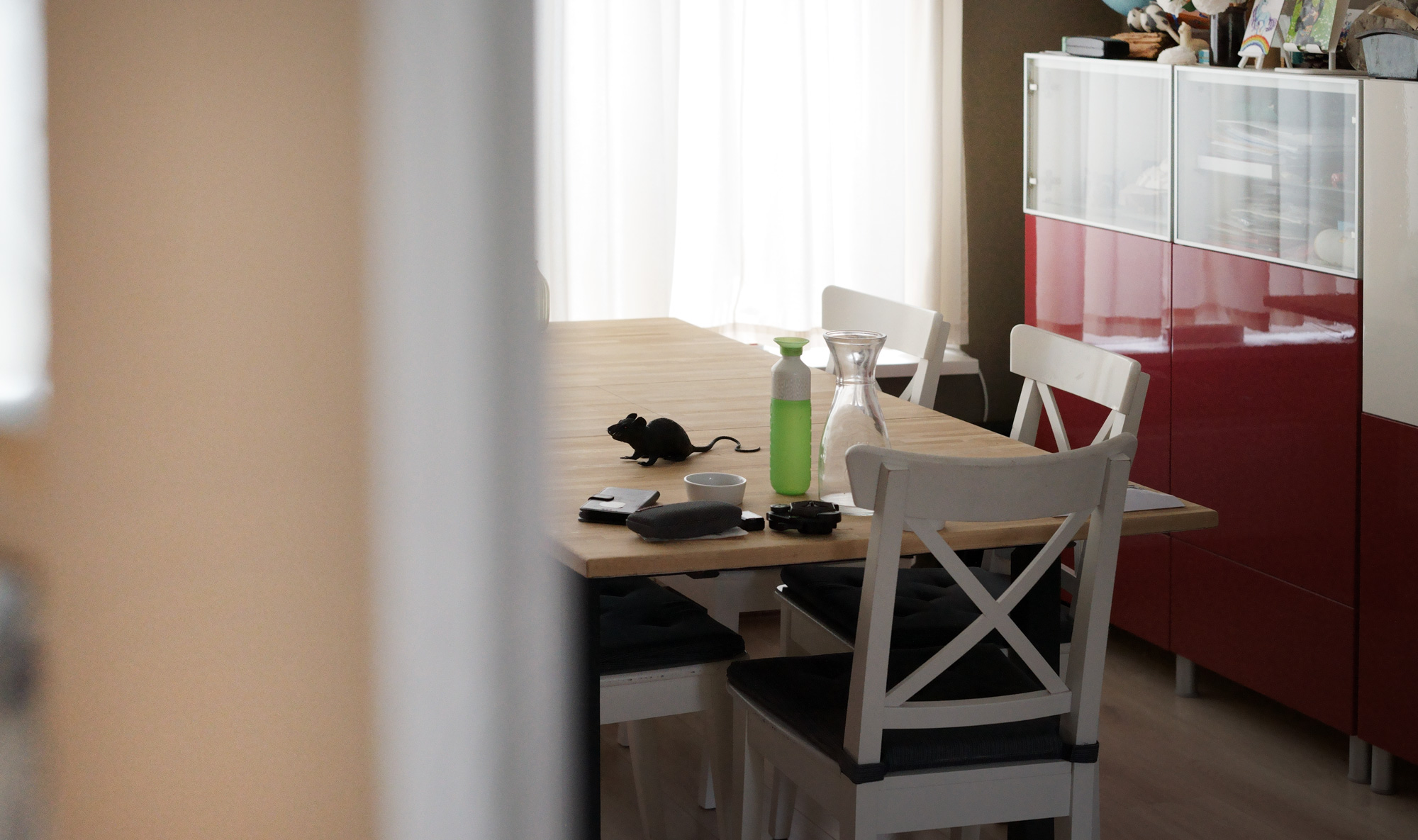 Rat op tafel in huiskamer