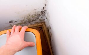 Schimmel in huis. Foto van huurdersymere.nl